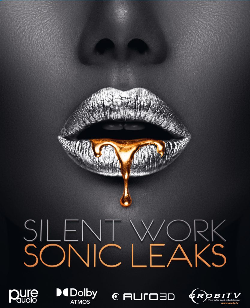 Silent Work – Sonic Leaks, copertina