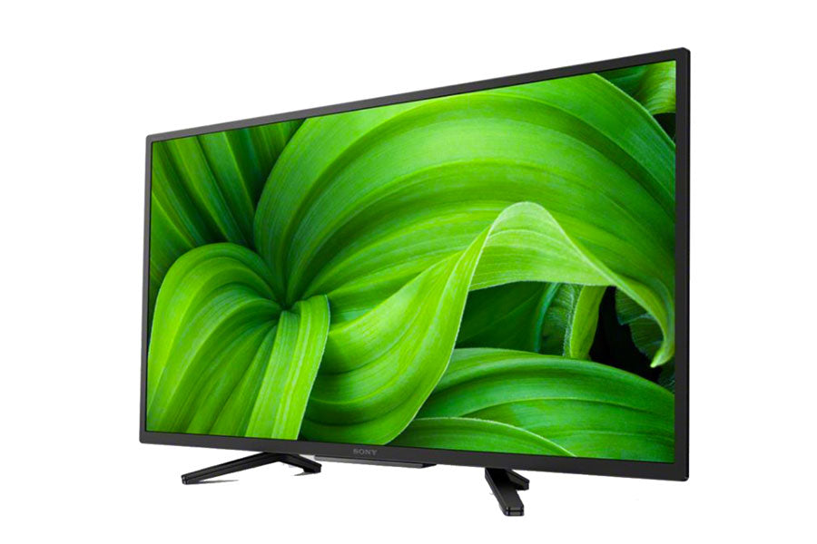 Sony BRAVIA FWD-W800