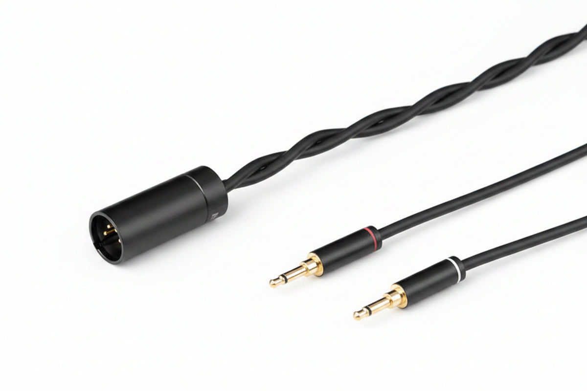 Final Audio DX6000
