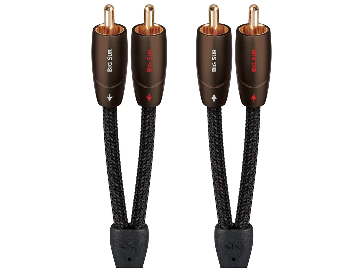 AudioQuest Big Sur, RCA > RCA
