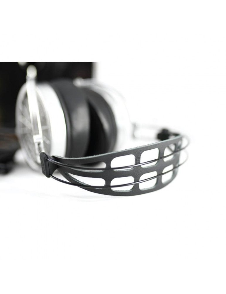 Dan Clark Audio Voce, dettaglio