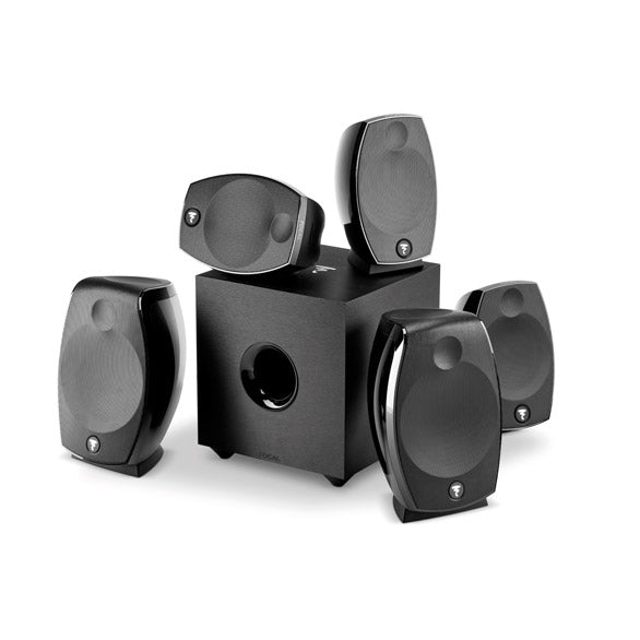 Focal Sib Evo 5.1.2, Dettaglio 2