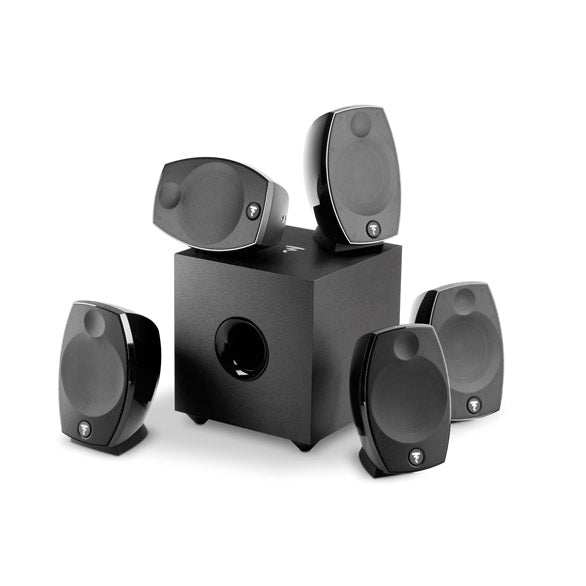 Focal Sib Evo 5.1, Dettaglio 2
