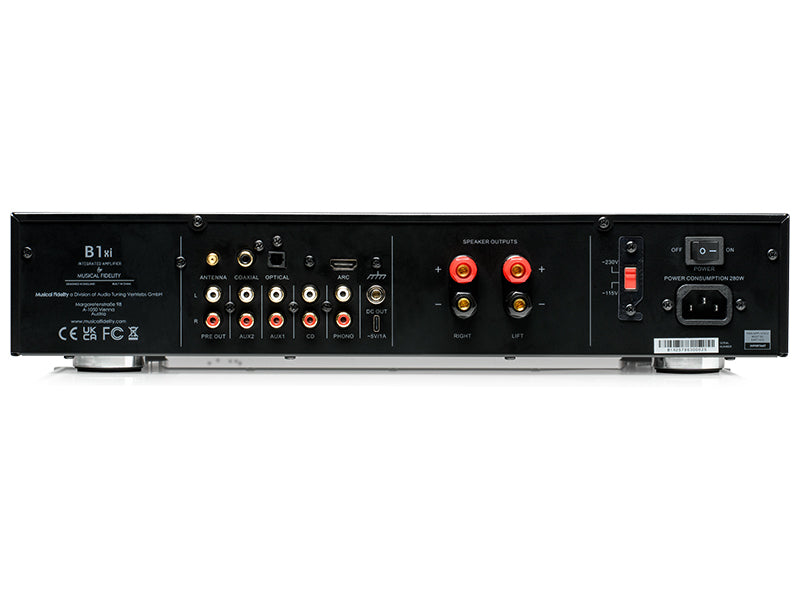Musical Fidelity B1xi — Vista posteriore