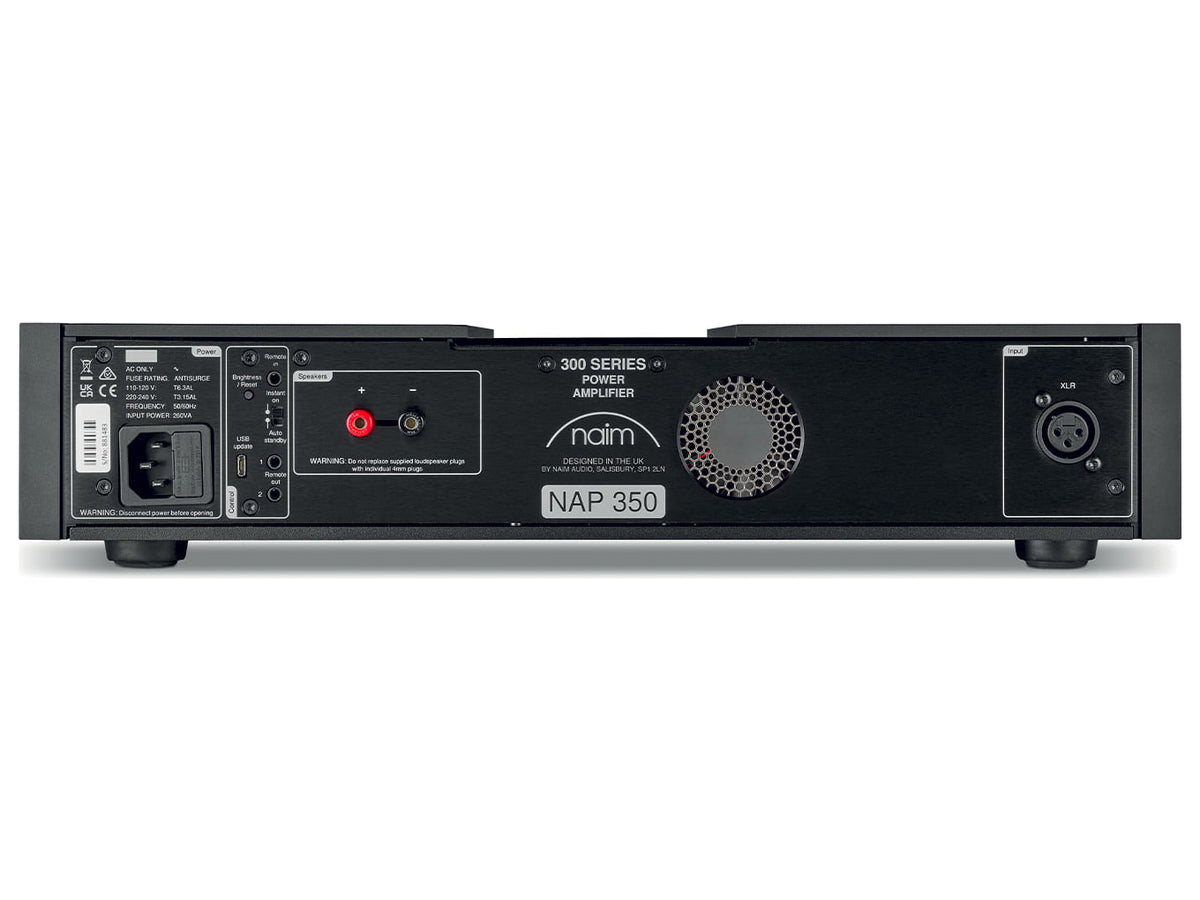 Naim NAP 350, vista posteriore