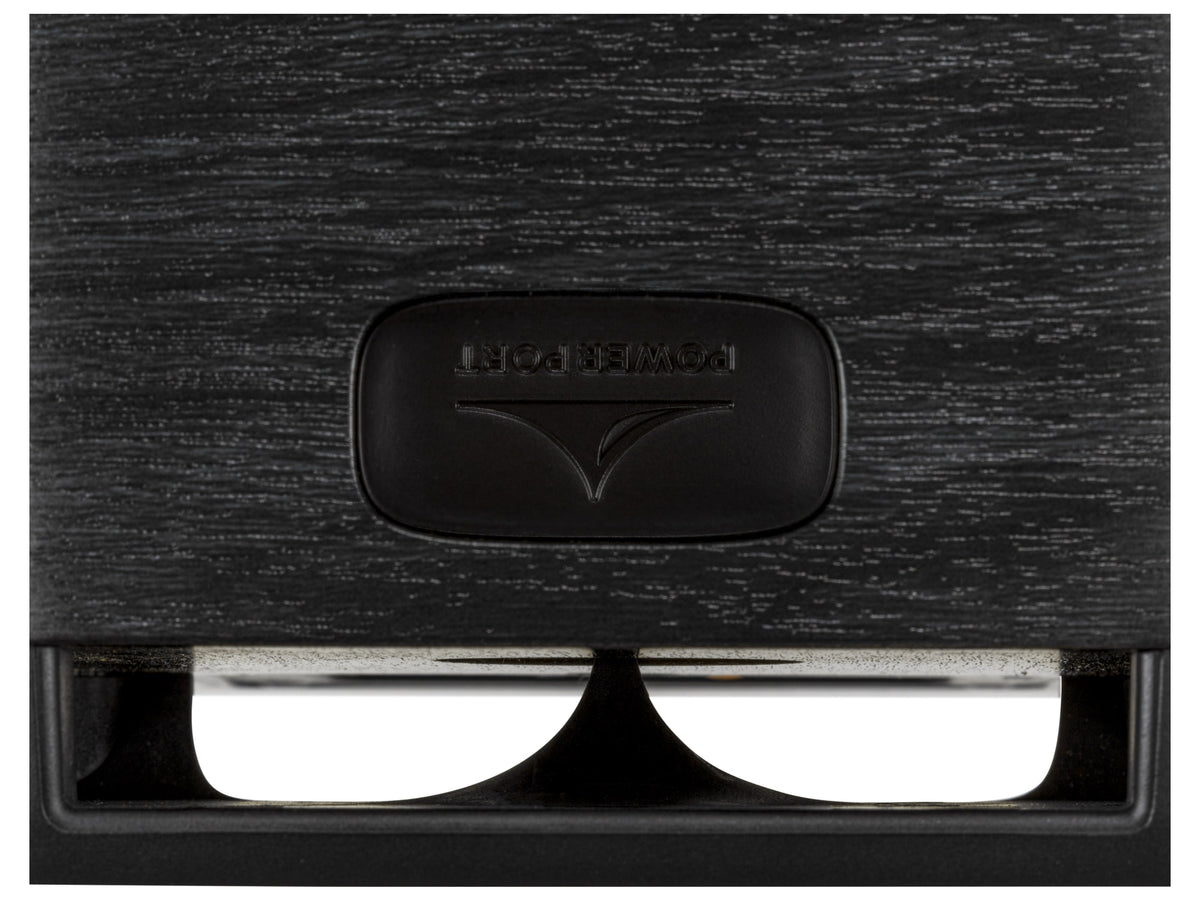 Polk Audio S10 EL, dettaglio