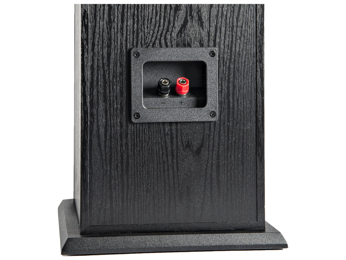 Polk Audio T50, vista posteriore