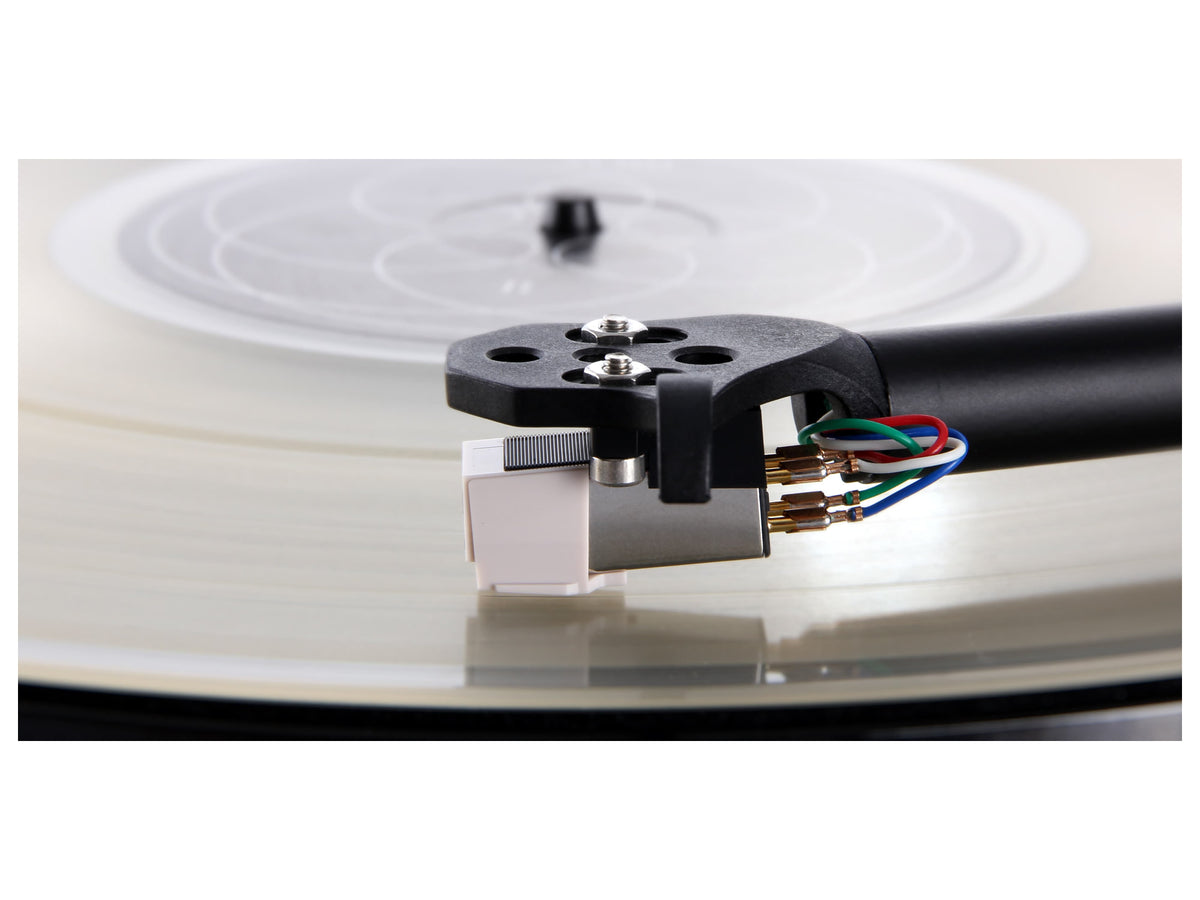 Rega CARBON, dettaglio