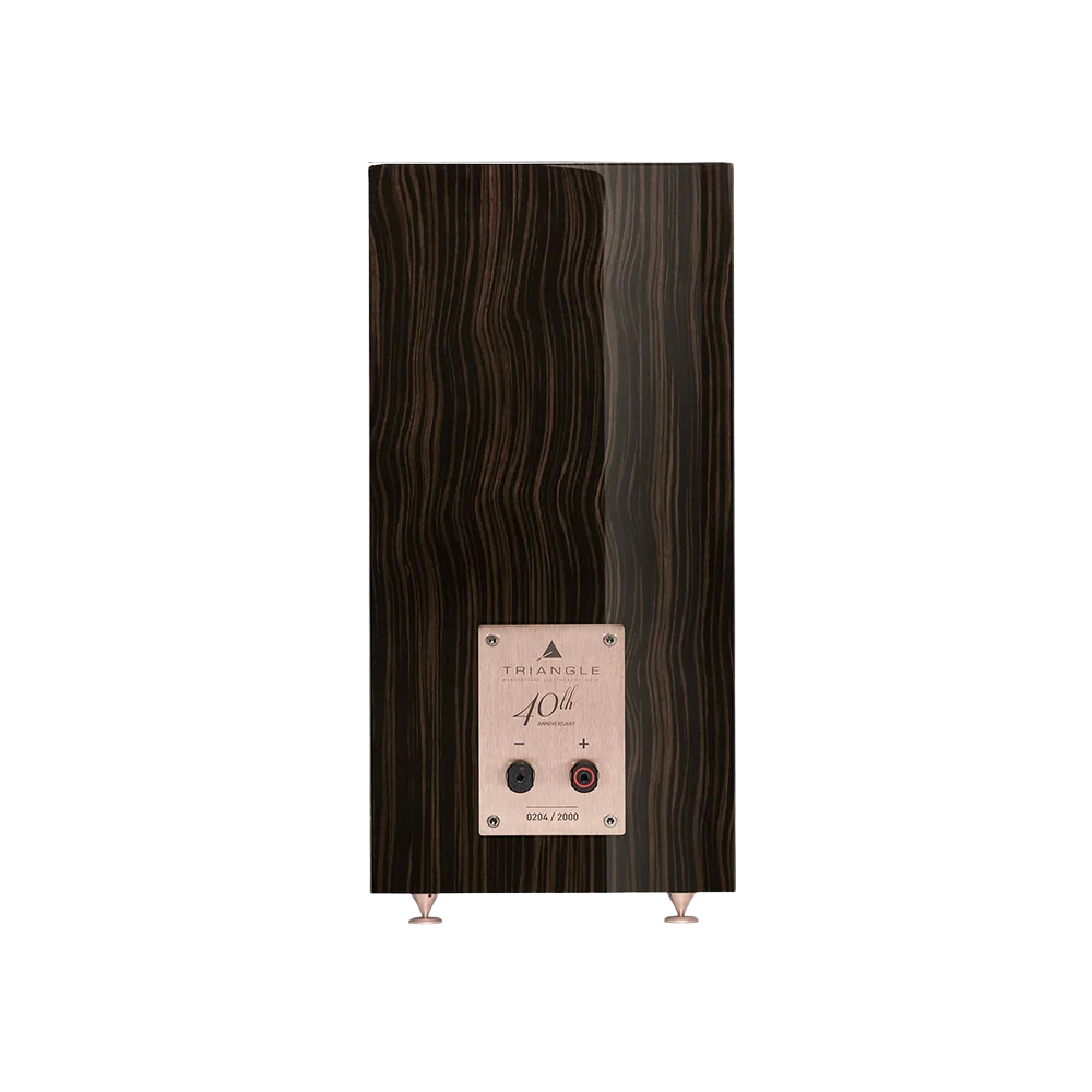 Triangle Comète EZ 40th, Rosewood, vista posteriore