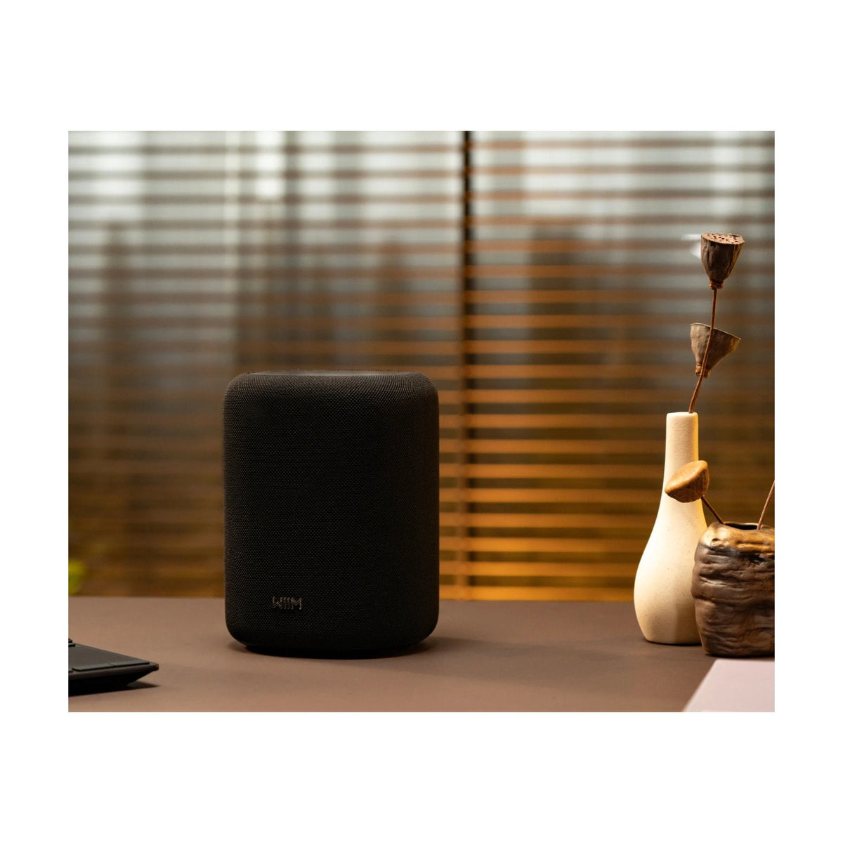 WiiM Sound Lite, foto ambientata