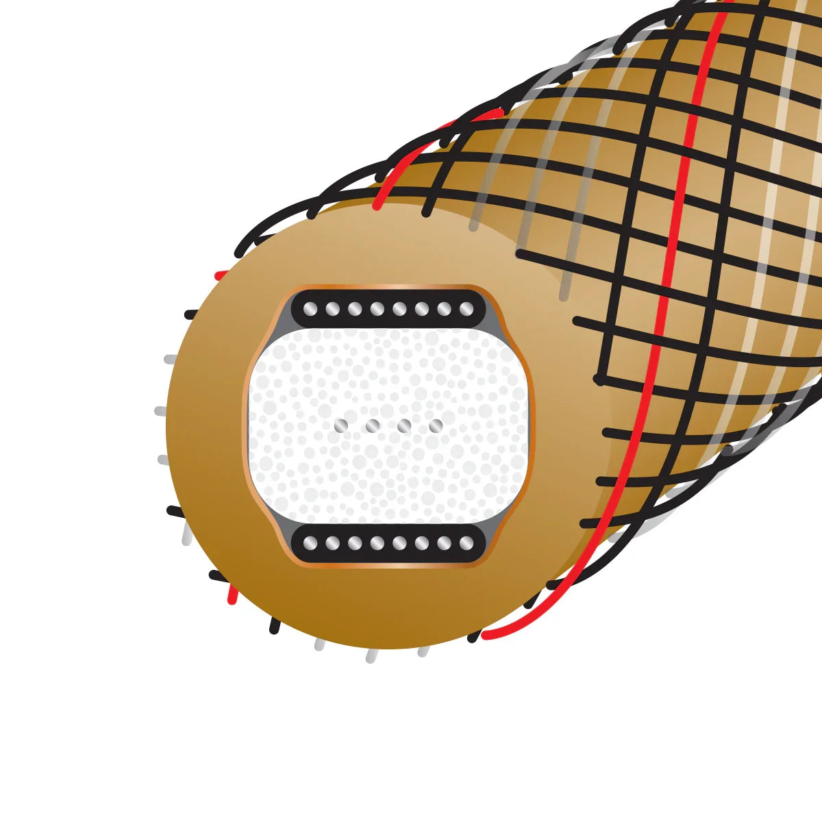 Wireworld GOLD STARLIGHT 10, dettaglio