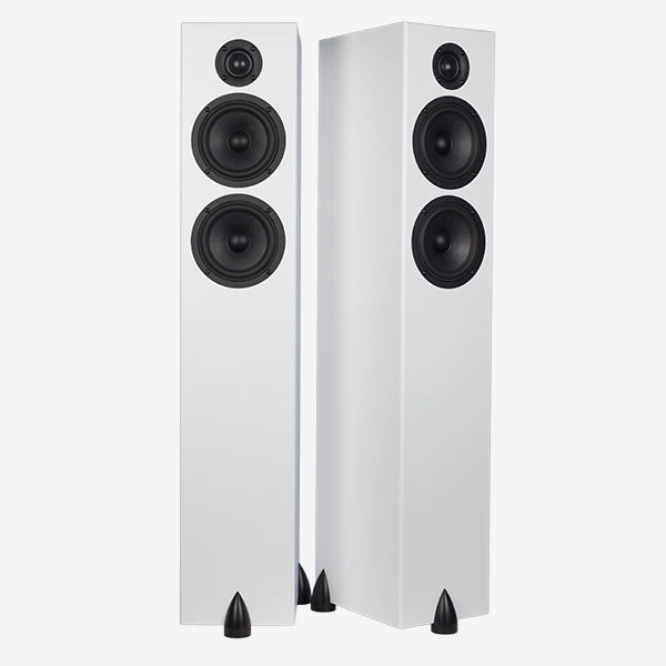 Totem Bison Twin Tower
