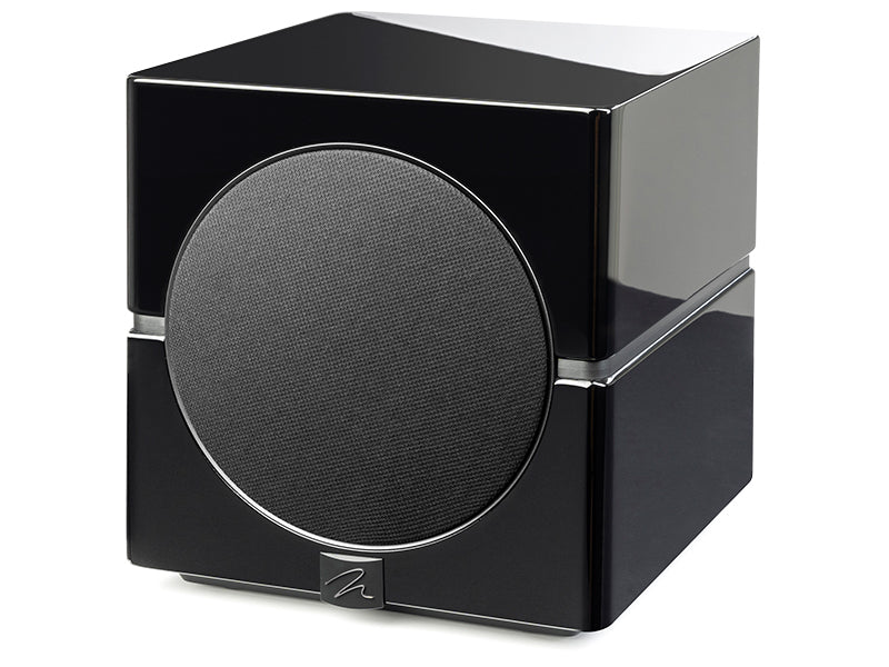 MartinLogan Dynamo 10