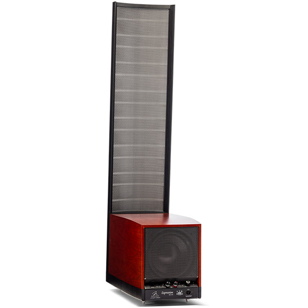 Martin Logan Expression ESL 13A