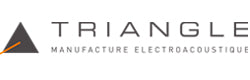 Triangle logo