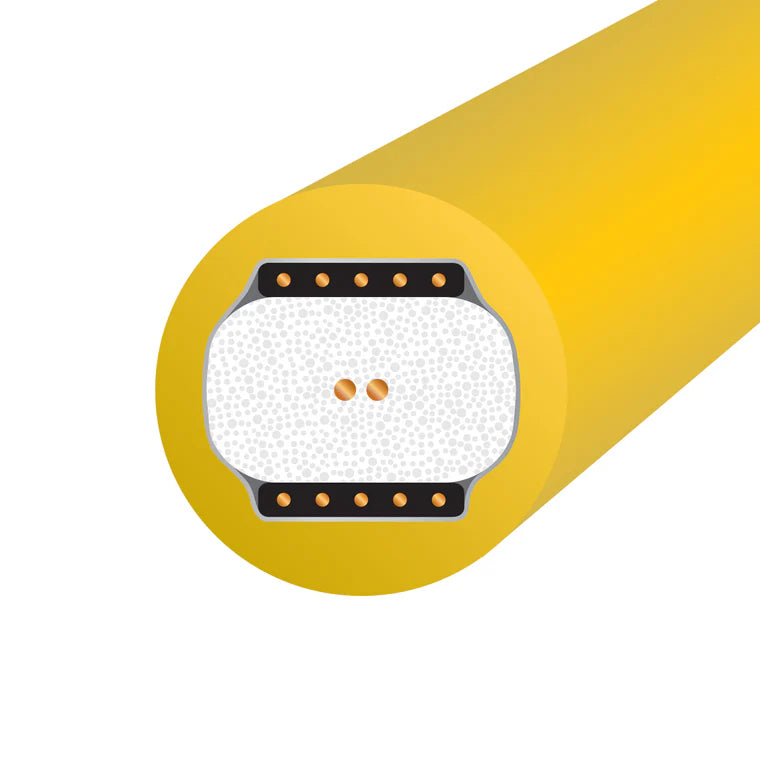 Wireworld Chroma 10