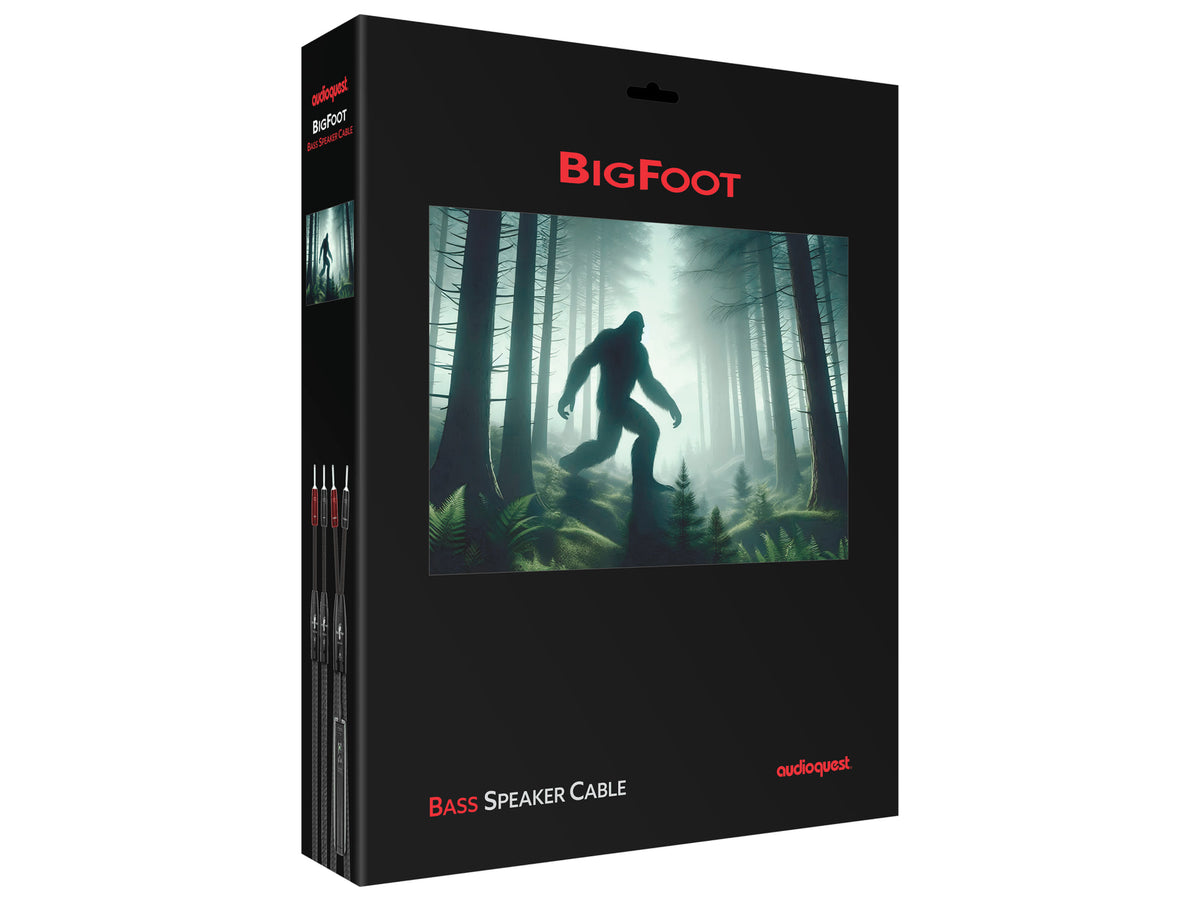 AudioQuest BigFoot BASS