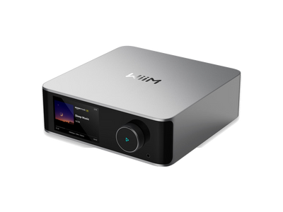 Streaming player audio