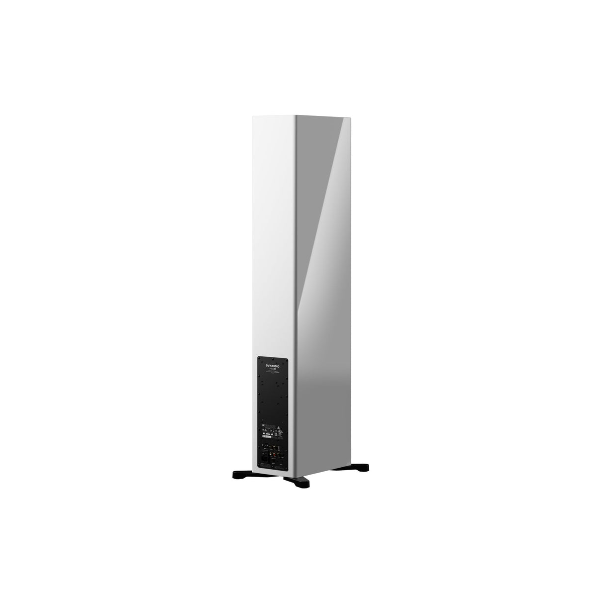 Dynaudio Focus 50, Vista posteriore Finitura Bianco