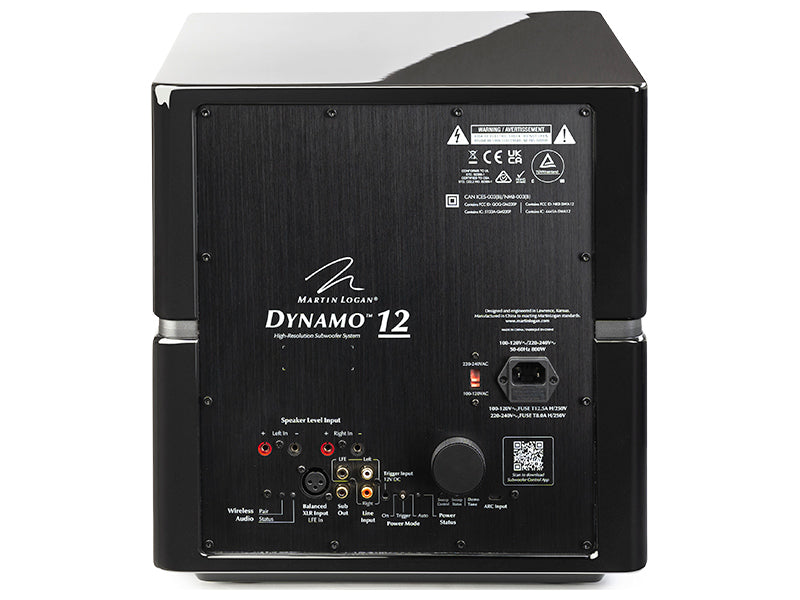 MartinLogan Dynamo 12, vista posteriore