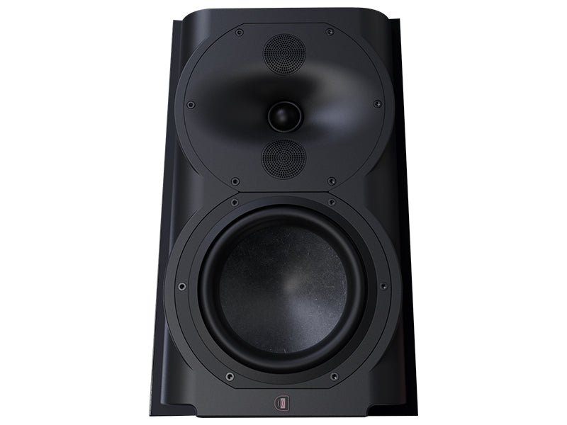 Perlisten R4b — Vista frontale 2