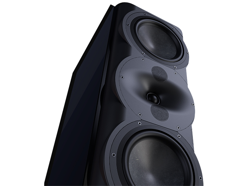 Perlisten R5m — Dettaglio