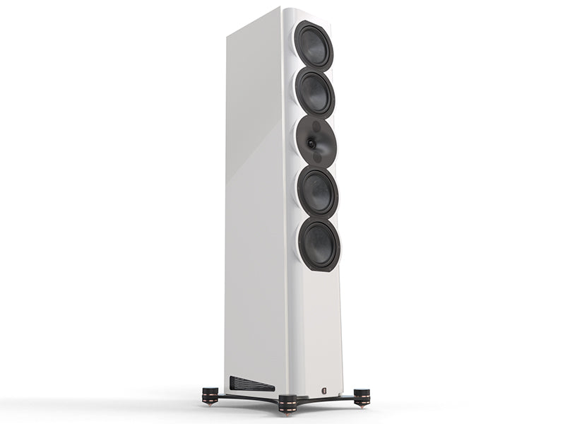 Perlisten  R7t — Dettaglio