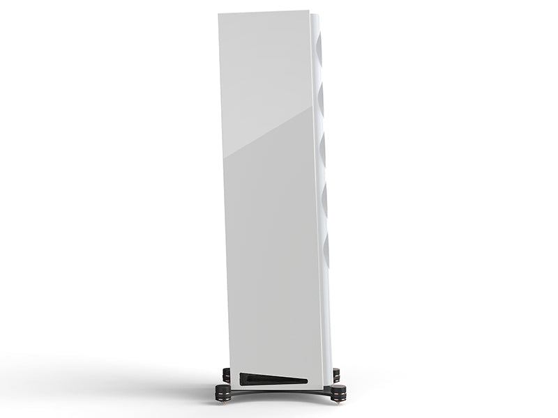 Perlisten  R7t — Vista laterale