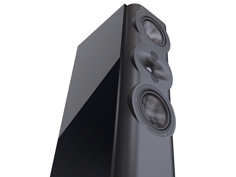 Perlisten  S5t — Dettaglio