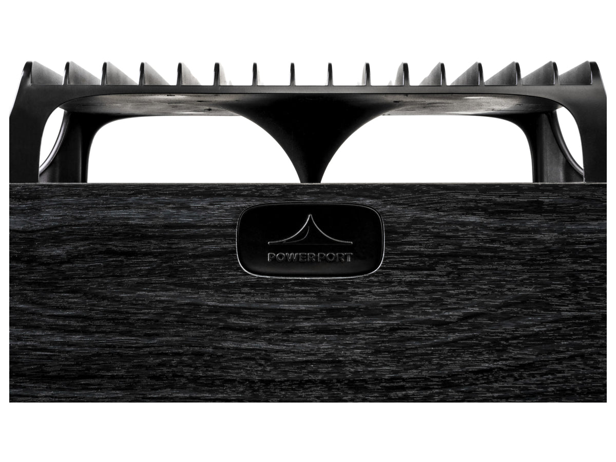 Polk Audio S30 EL — Dettaglio