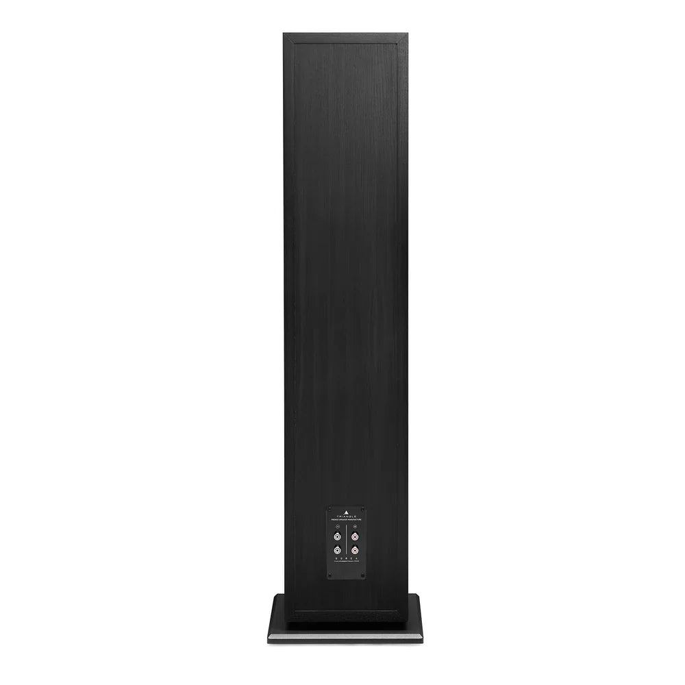Triangle Borea BR10 — Vista posteriore