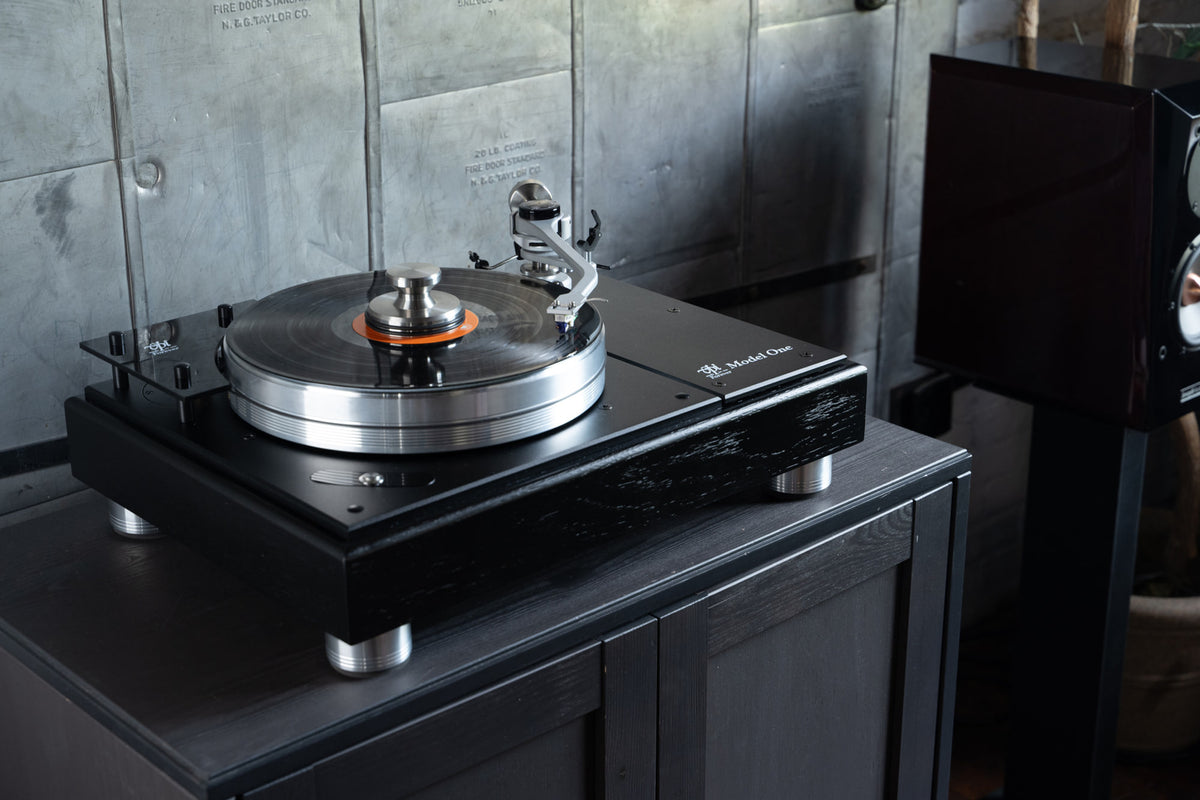 VPI Forever Model One — immagine 4