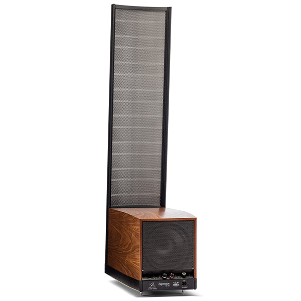 Martin Logan Expression ESL 13A